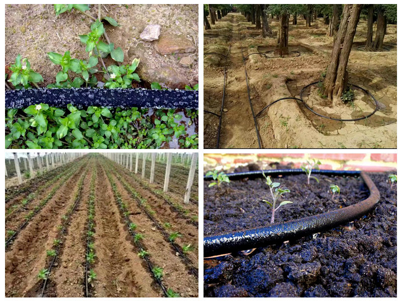 Nola erabiltzen da gomazko mahuka ureztatzeko?